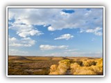 Alamito Creek Preserve 12-09 011