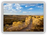 Alamito Creek Preserve 12-09 012