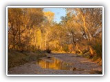 Alamito Creek Preserve 12-09 022