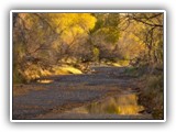 Alamito Creek Preserve 12-09 076