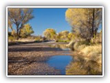 Alamito Creek Preserve 12-09 086