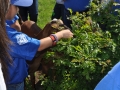 Students celebrate Earth Day at Josey Pavilion
