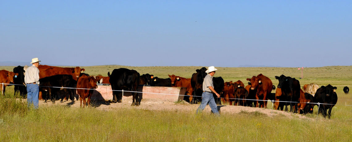 Sustainable land management