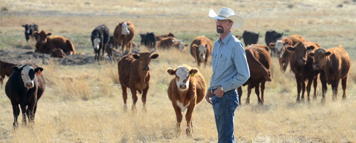 Ranches