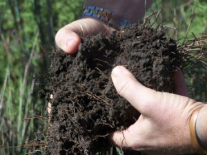 soil-close-up