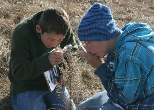 Marfa International School students Amos and Felix learned to identify grasses and other native plants during an outdoor education program at the Dixon Water Foundation’s Mimms Unit last week. Students from kindergarten through eighth grade learned about desert grasslands and sustainable land management through science projects and presentations by local experts.